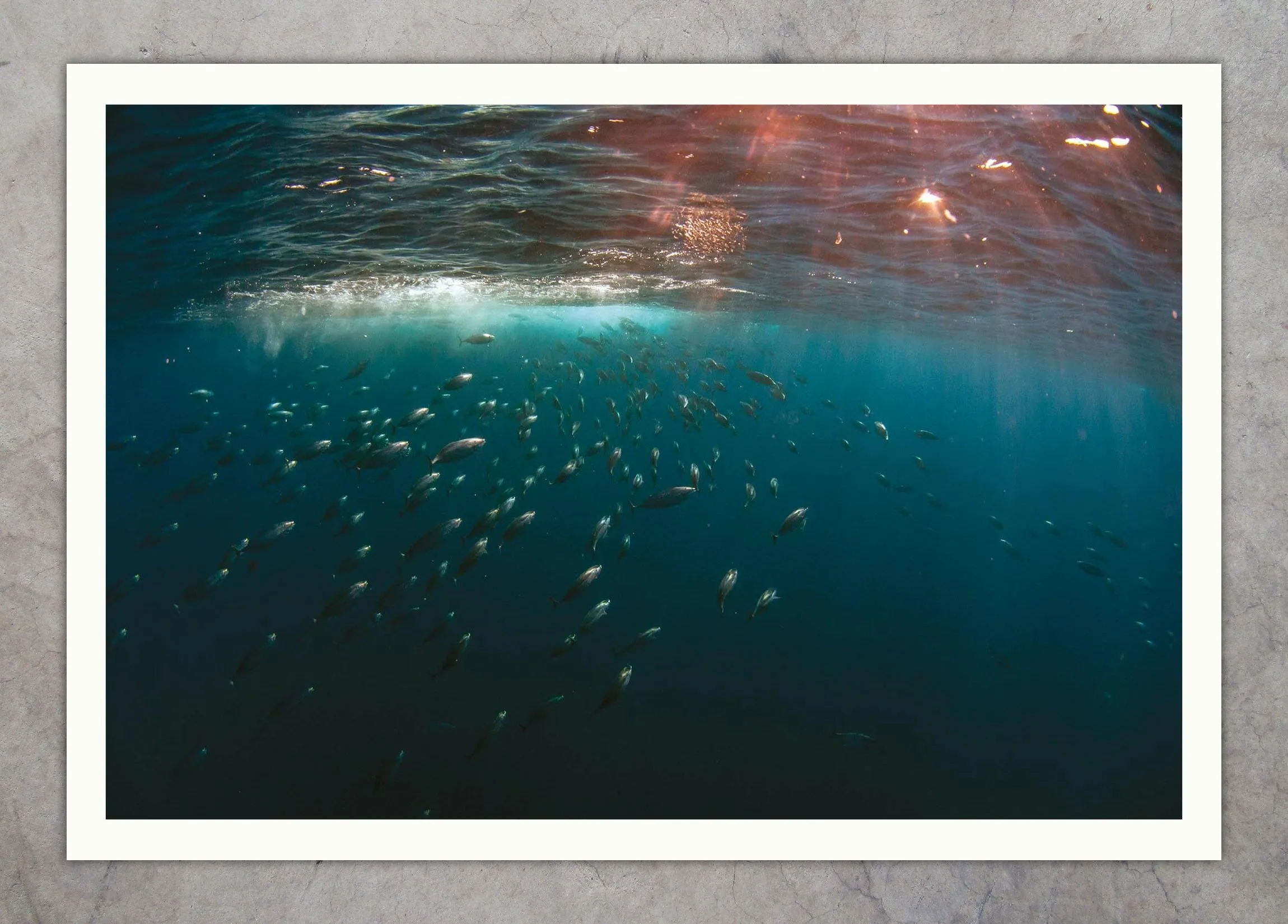 DSC_5095 Hunting 01