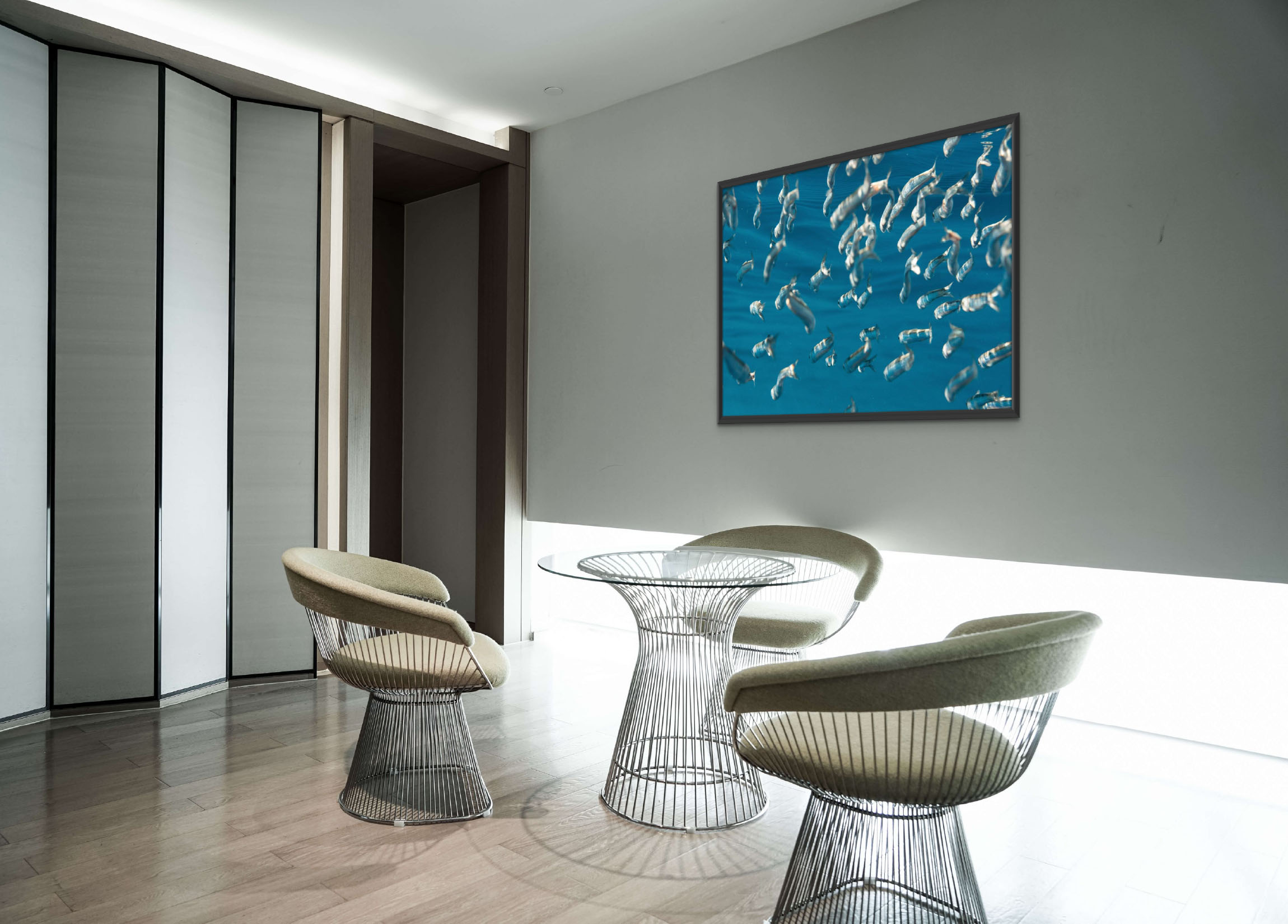 DSC_6264 Escaping